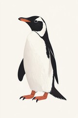 Fototapeta premium Black and White Penguin Standing