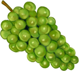 포도