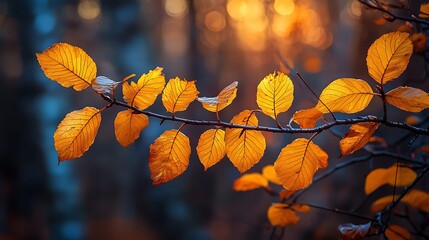 Golden Autumn Leaves on Tree Branches Close Up