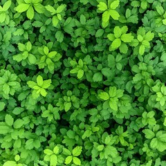 A dense arrangement of vibrant green leaves, showcasing natural foliage.
