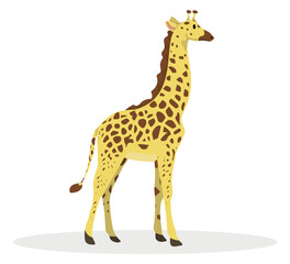 Fototapeta premium random images