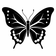 butterfly illustration