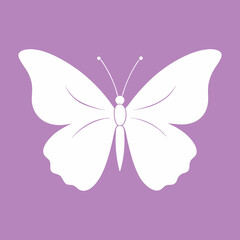 butterfly illustration