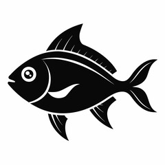 fish illustration