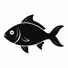 fish on white background