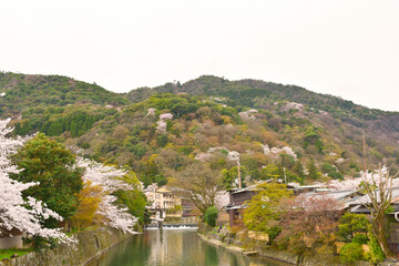 Obraz premium Landscape of Arashiyama in Kyoto, Japan in spring