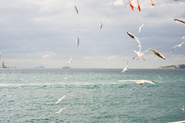 View seen from the Bosporus cruise ferry in Istanbul, Turkey