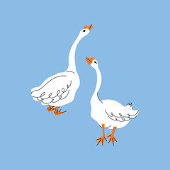 Set of geese in various poses. Cartoon vector illustration isolated on background. Farm animal design  adorable birds in different poses, funny characters