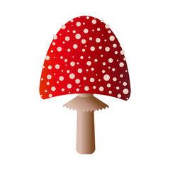 Spotted red fly agaric mushroom isolated on white background. Vector.