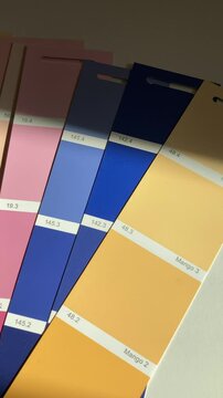 color palettes of paint samples