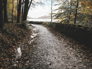Entwistle Lancashire UK. Serene forest path leading to a tranquil lakeside view.