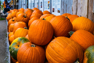 A pile of different colored pumpkins