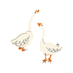 Set of geese in various poses. Cartoon vector illustration isolated on background. Farm animal design  adorable birds in different poses, funny characters