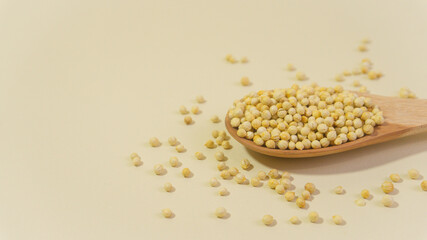 Close up wooden spoonful of coriander