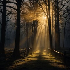 Fototapeta premium Photograph with a strong cinematic feel, capturing the fleeting moment where a beam of warm, golden light pierces through the darkness, creating a stark divide between day and night