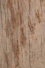 Fototapeta premium wood plank texture seen from close-up