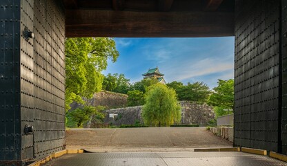 Fototapeta premium Osaka Castle in a Summer evening in Osaka, Japan with greenery trees