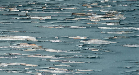 Closeup of peeling turquoise paint on old, weathered and distressed wood, revealing layers