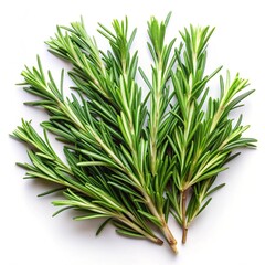 Fototapeta premium dill isolated on white