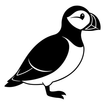 recommend clip art: atlantic puffin  on white