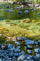 River Rocks Details 3