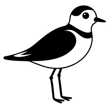 recommend clip art:  snowy plover on white