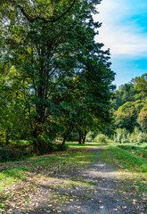 Kent River Path 2