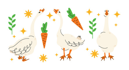 Set of geese in various poses. Cartoon vector illustration isolated on background. Farm animal design  adorable birds in different poses, funny characters