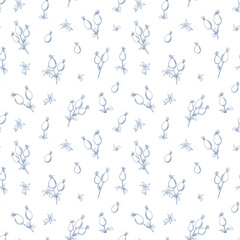 Seamless floral pattern with Rose. Botanical rosehip