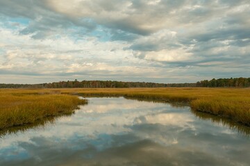 Reflections in a wetland in Heislerville, Maurice River, New Jersey