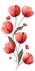 Beautiful red tulips with green leaves on a white isolated background.