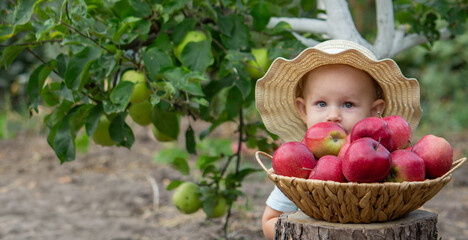 little girl eats an apple in the garden. Selective focus