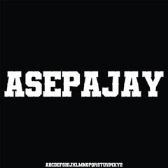 bold display alphabet font vector