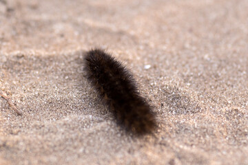 sand on the beach