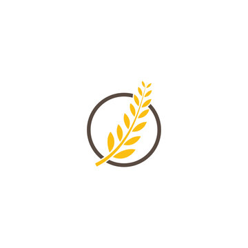 Agriculture wheat Logo