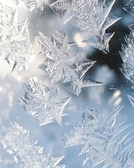 Delicate frost patterns on glass, showcasing intricate ice crystals, perfect for winter-themed backgrounds