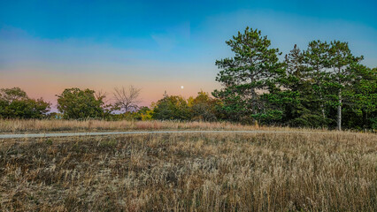 sunset in the forest off of a rural walking trail