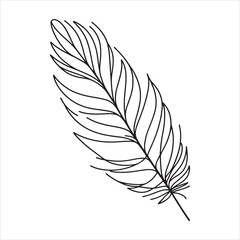 Obraz premium Feather silhouette on white background 