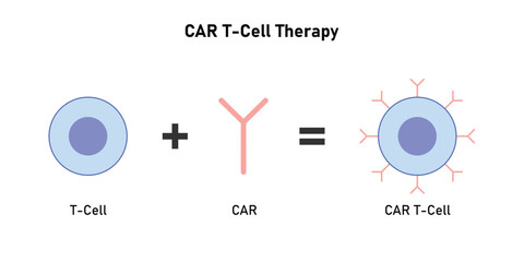 CAR T-cell Therapy Scientific Design. Vector Illustration.