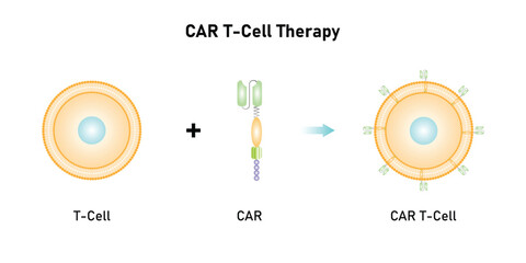 CAR T-cell Therapy Scientific Design. Vector Illustration.
