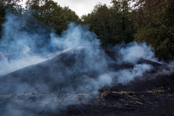 Traditional Way of Charcoal Production in a Forest of Black Sea Mountains, Turkey