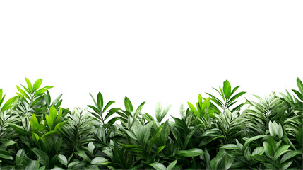 Fototapeta premium lush green foliage isolated on white background for natural and eco-friendly projects, cut out