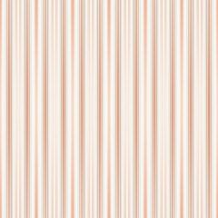 Obraz premium Colorful stripe abstract background. Motion effect. Color lines. Colored fiber texture backdrop and banner.