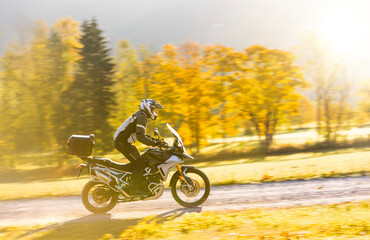 Obraz premium Motorcyclist rides through scenic autumn forest trail.