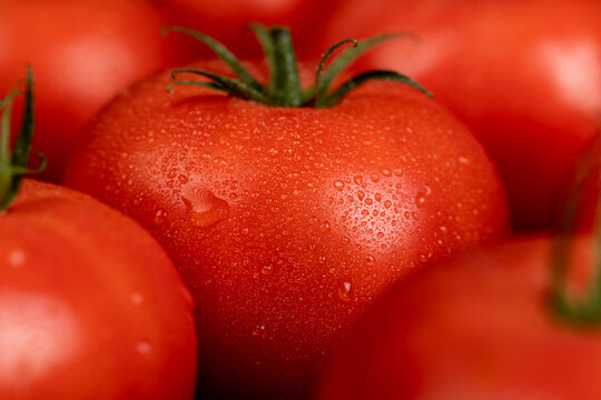 wet ripe red tomatoes on the table