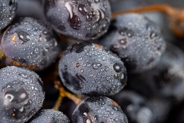 fresh grapes are lying on black paper