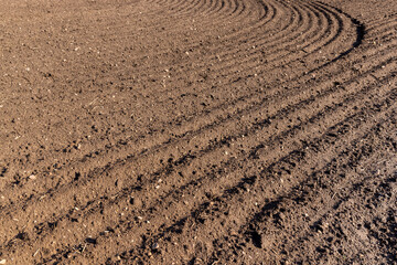 fertile soil in spring during the preparation for sowing
