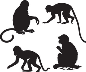 collection of monkey in different pose silhouette design vector illustration