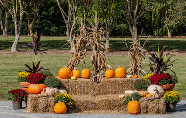 Festive Fall Setting Using  Pumpkins