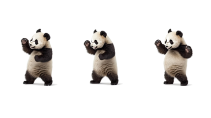 Funny Pandas Dancing in a Playful Set of Animated Poses Generative AI